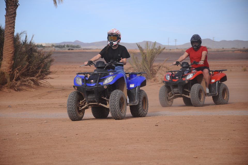 Marrakech: Quad Bike Adventure in the Palm Grove and Jbilat - Review Summary