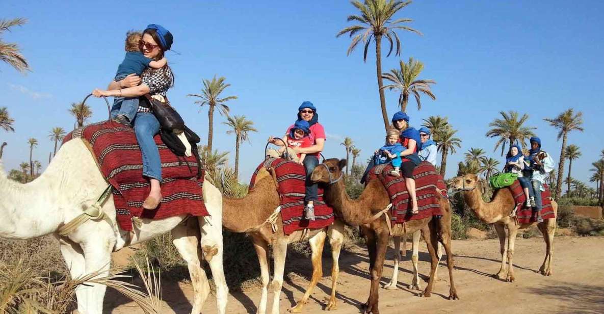 Marrakesh Countryside: 1-Hour Palm Grove Camel Ride - Overall Experience Rating