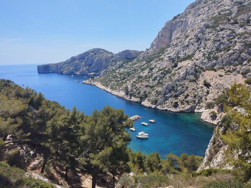 Marseille: Guided Hiking Calanques National Park From Luminy - Languages and Inclusions