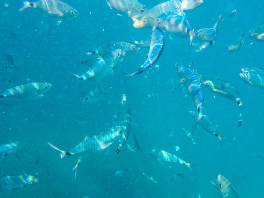 Medulin: Private Glass Bottom Boat Tour to Levan Island - Tour Highlights and Inclusions