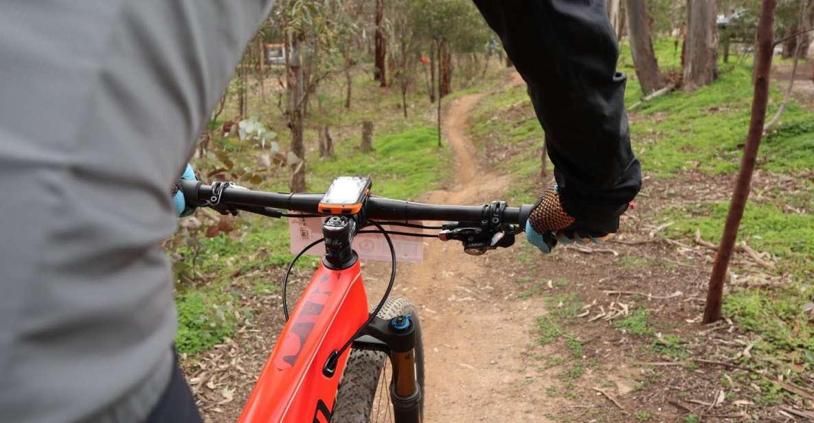 Melbourne: 1-Day Mountain Biking Adventure With Lunch - Lunch at Holgate Brewhouse