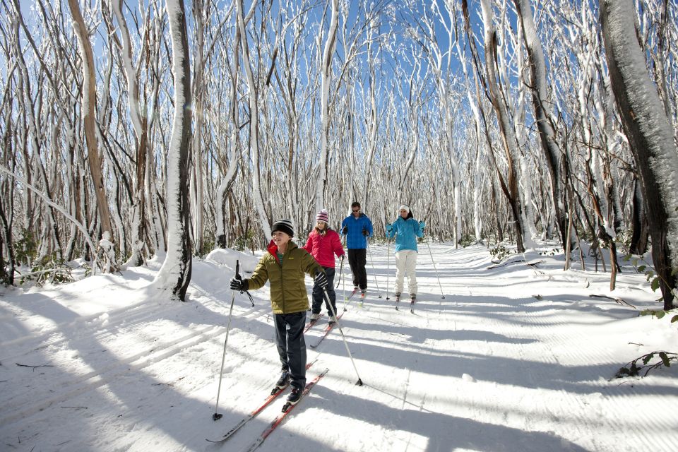Melbourne: Lake Mountain Snow Guided Tour - Activities
