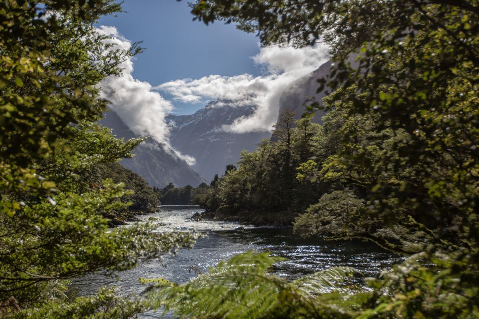 Milford Sound: Half-Day Guided Milford Track Walk - Inclusions