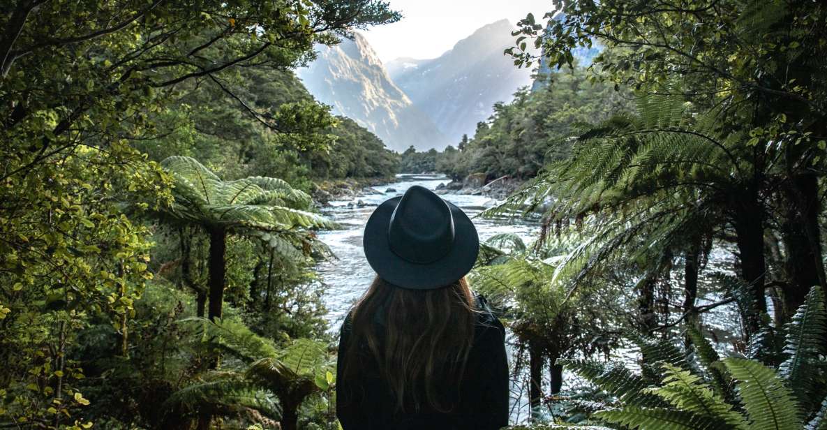 Milford Sound: Milford Track Day Hike - Visitor Reviews