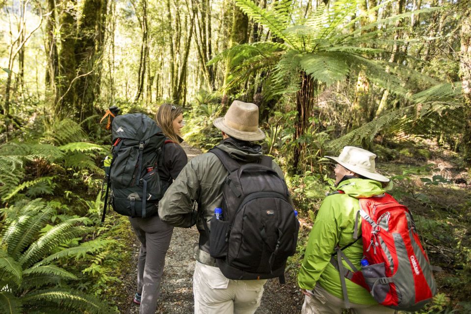 Milford Track: Full Day Guided Hike and Nature Cruise - Full Description