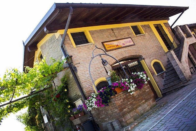Modena Area: Balsamic Vinegar “Aceto” Tasting Experience - Purchase Authentic Balsamic Vinegar Products