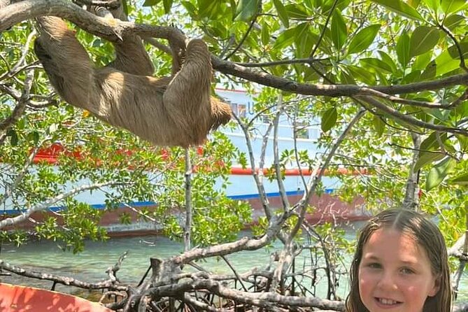 Monkeys and Sloth Hangout Chocolate Factory Plust Beach Day Past - Last Words