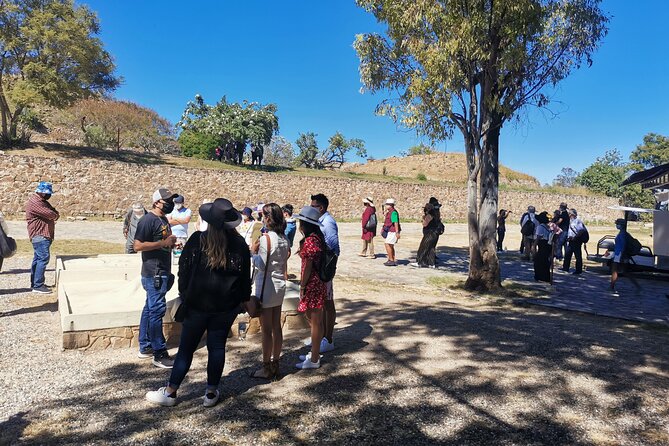 Monte Alban - Full Day Guided Tour With or Without Food - Oaxaca - Meeting and Pickup