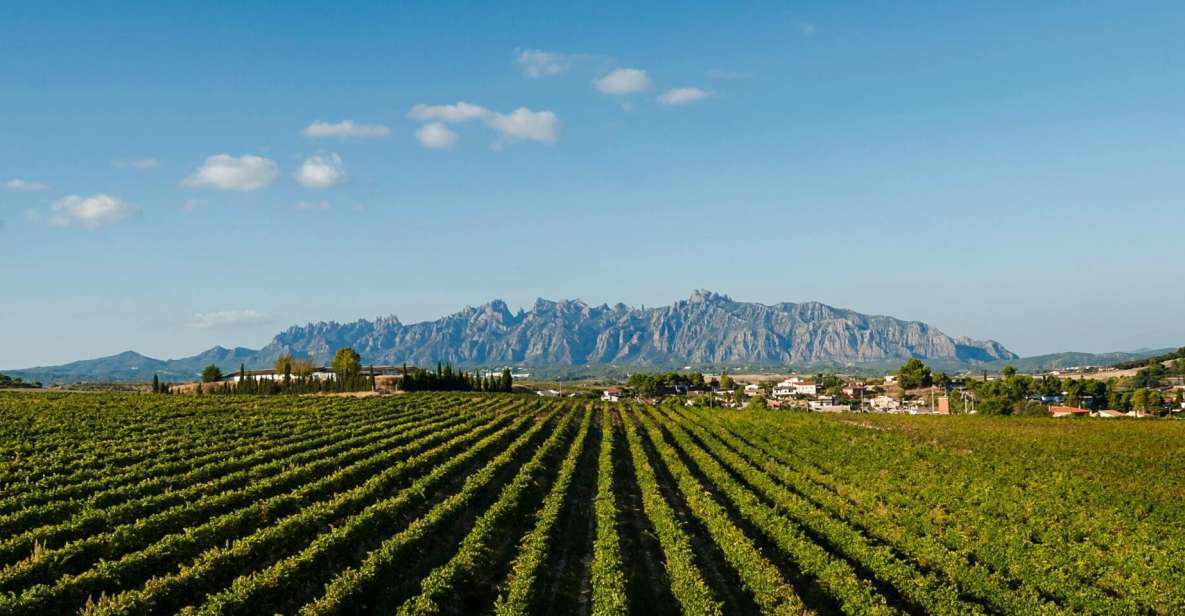 Montserrat & Cava Wineries Day Trip From Barcelona W/ Pickup - Detailed Itinerary