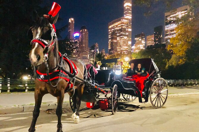 MOONLIGHT RIDE Central Park With Photo (45 Min) Skip the Line - Meeting and Pickup Details