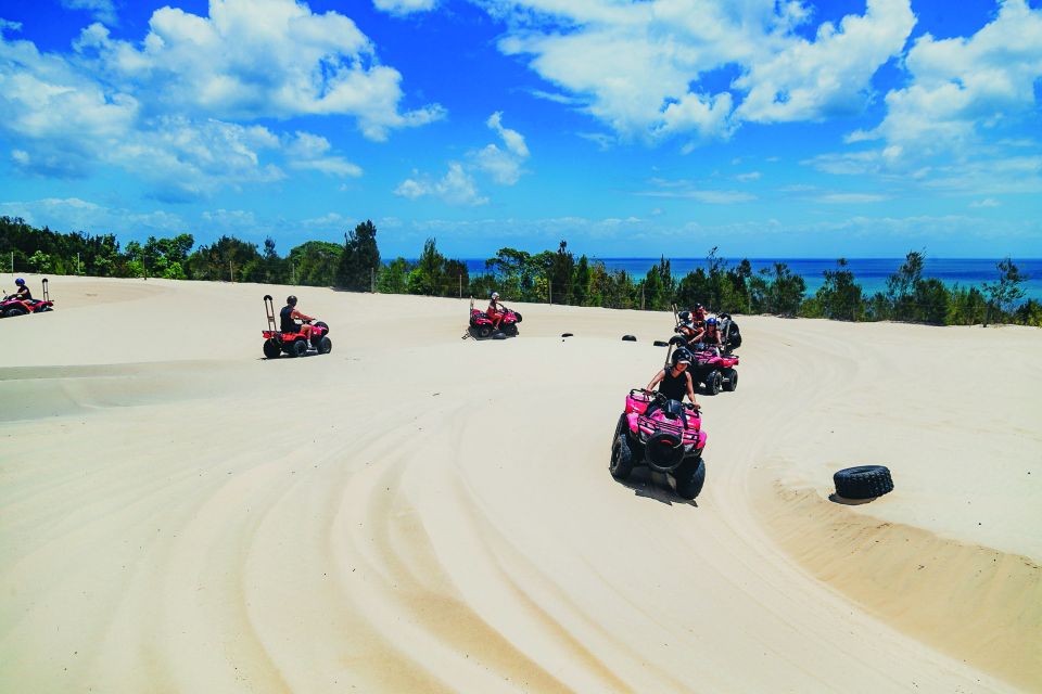 Moreton Island: Tangalooma Quad Bikes and Dolphin Viewing - Inclusions