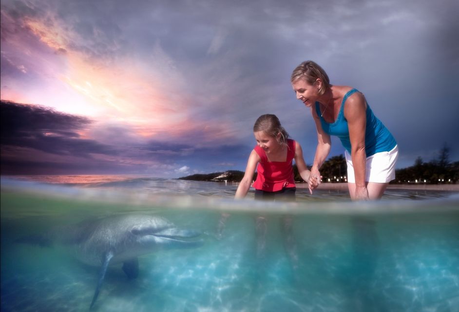 Moreton Island: Tangalooma Snorkeling Tour & Dolphin Feeding - Tour Experience Details