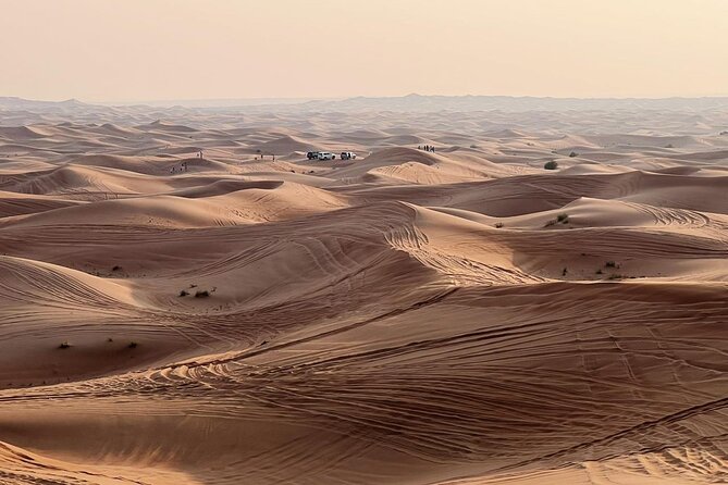 Morning Abu Dhabi Desert Dune Bashing and Camel Ride - Optional Quad Bike Rental