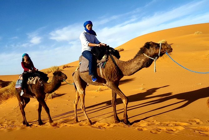Morning Camel Trekking With Dune Bashing and Sand Boarding - Conquering Dunes With Sandboarding