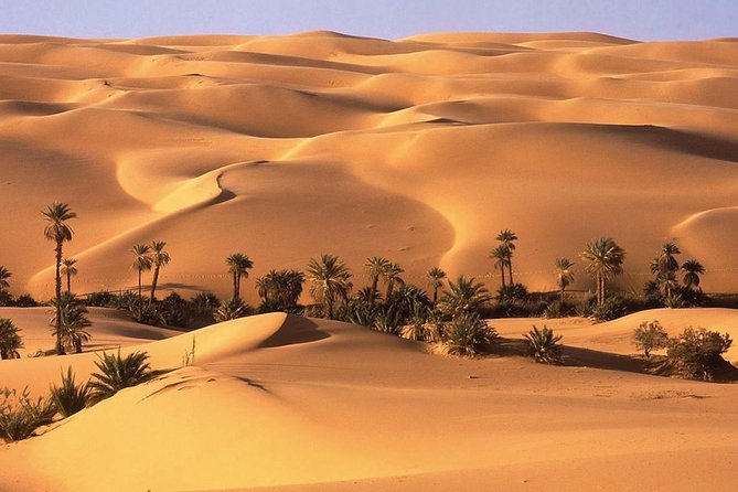 Morning Desert Safari Abu Dhabi With Camel Ride and Sandboarding - Cancellation Policy