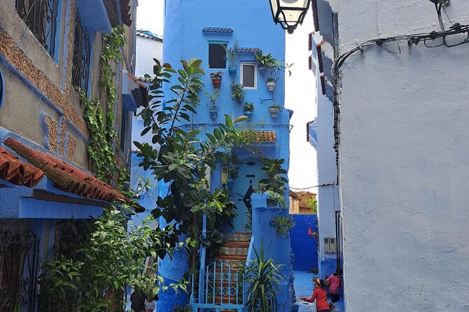 Morocco in Private: Tangier and the Blue Chefchaouen in One Day - Practical Information and Tips