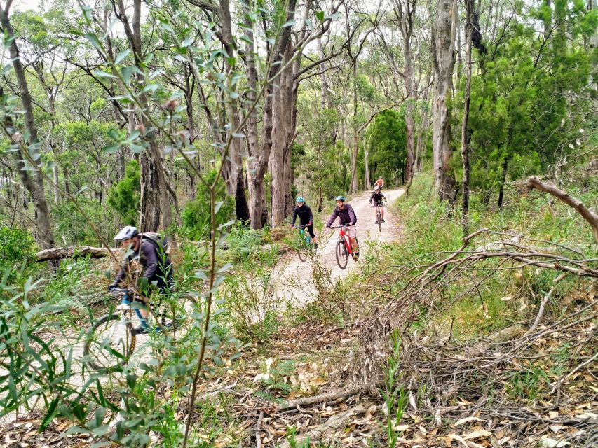 Mount Lofty Downhill Bike Tour & Cleland Wildlife Park Visit - Important Information