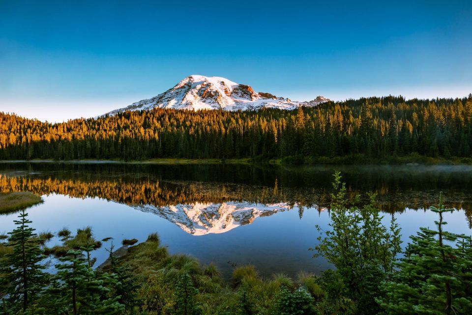 Mount Rainier National Park: Audio Tour Guide - Tour Experience