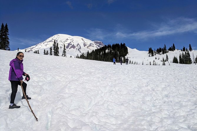 Mount Rainier National Park - Private Luxury Day Tour With Lunch - Guide Expertise