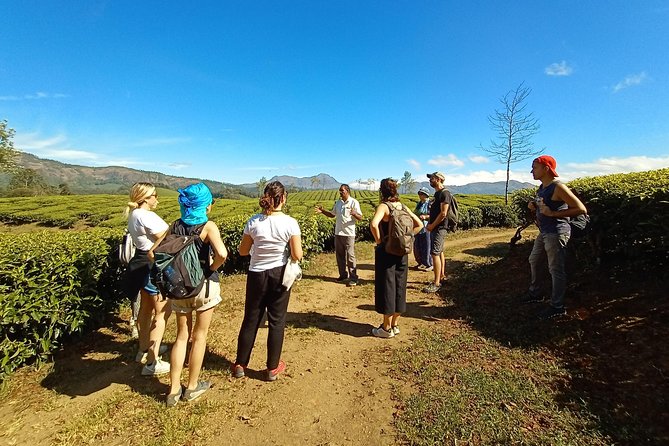 Munnar Mountain Trekking - Wildlife and Scenic Views on Trails