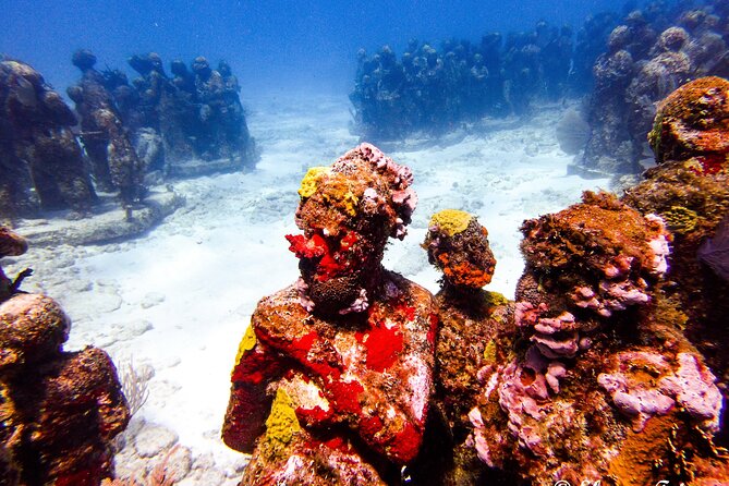 MUSA Museum and Colorful Reef 2 Tank Dive-Certified Divers - Participant Requirements