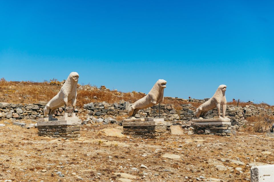 Mykonos Town: Archaeological Site of Delos Guided Day Trip - Practical Information