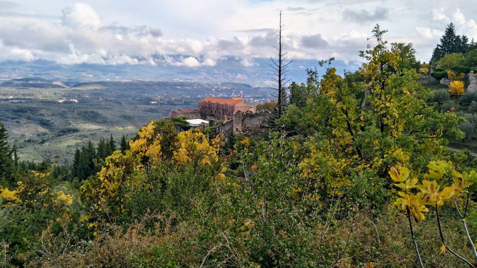 Mystras Castle Town, Sparta, Olive Museum Private Day Tour - Highlights of the Tour