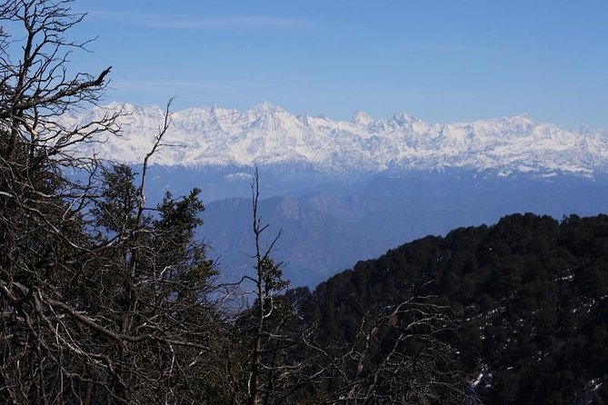 Naag Tibba Trek - Last Words