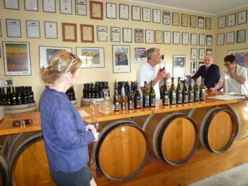 Napier: Afternoon Wine Gin Tasting Tour - Detailed Itinerary