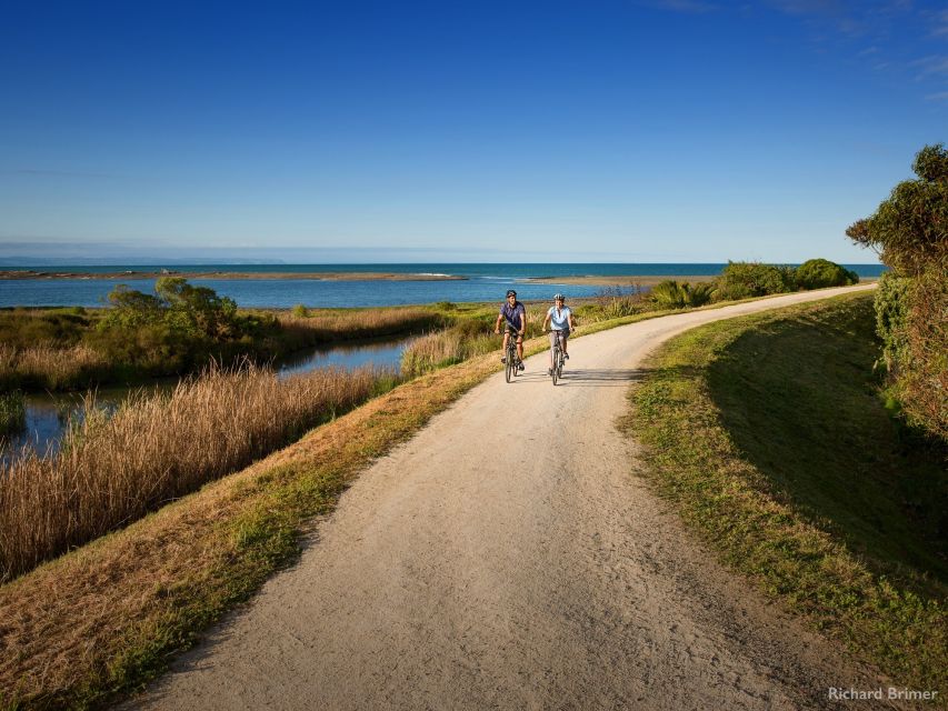 Napier: Cape Coast Winery Tour on Pedal or E-Bikes - Important Information