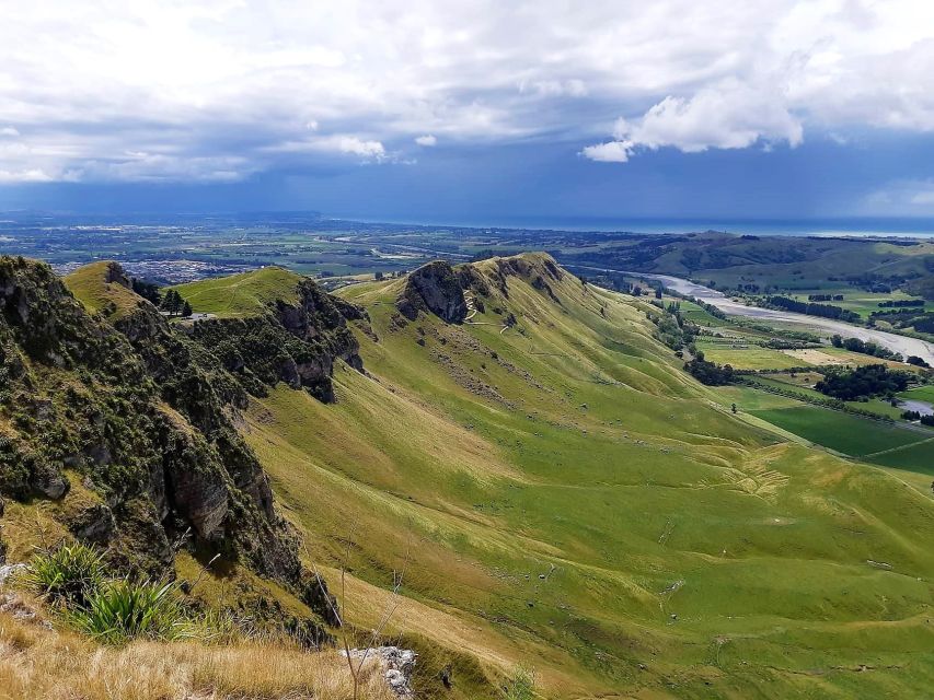 Napier: Private Sightseeing Tour Wine Tasting - Highlights