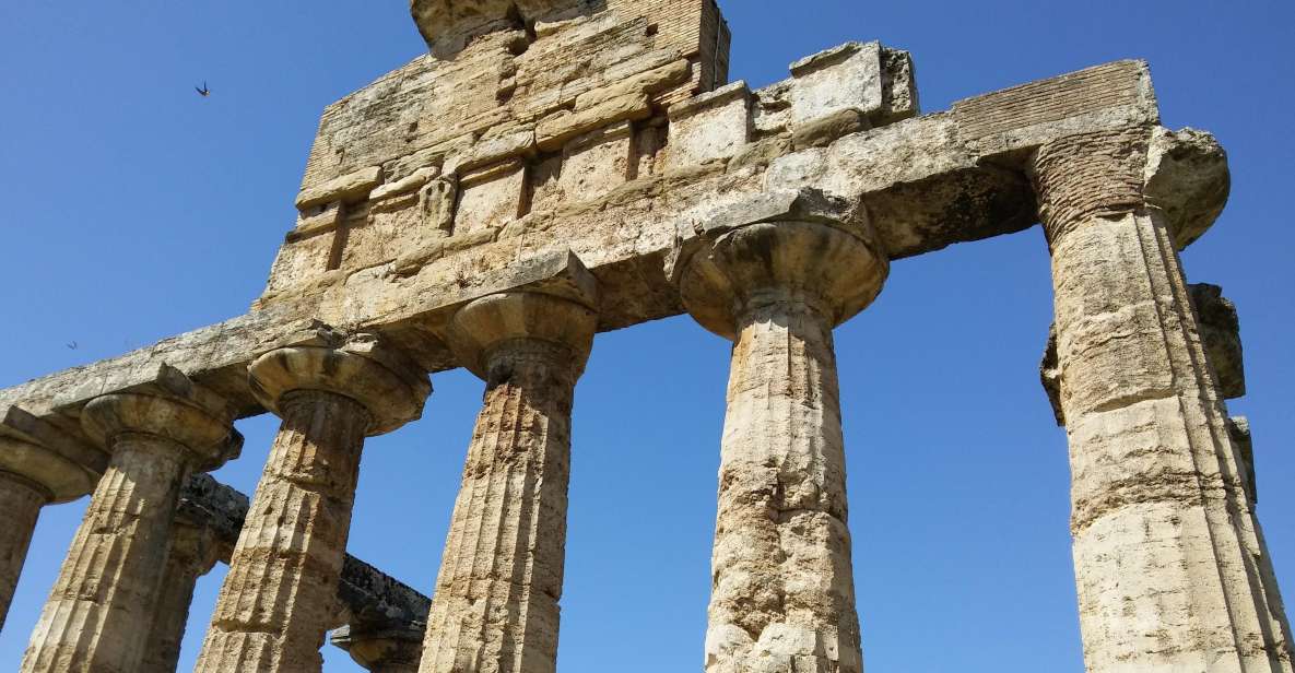 Naples: Go to Paestum by Car and Visit the Temples - Tour Highlights and Experiences