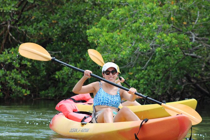 Naples Kayak Rentals at Cocohatchee River Park Marina - Additional Information