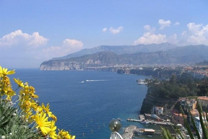 Naples, Pompeii and Sorrento Full Day Tour From Naples - Inclusions