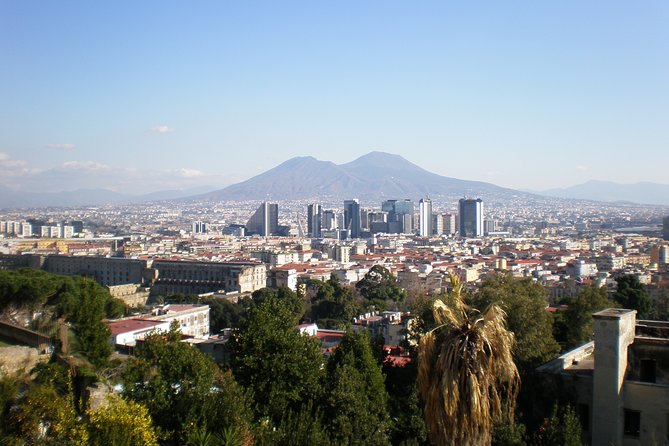 Naples Shore Excursion: Mt Vesuvius Half-Day Trip From Naples - Passenger Feedback