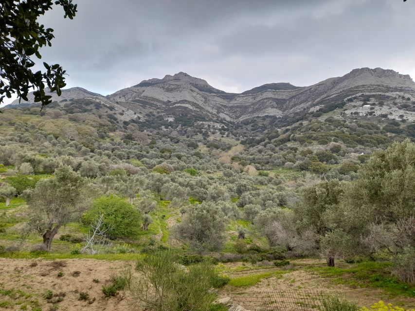 Naxos: Countryside Hike Among Villages & Byzantine Churches - Full Description