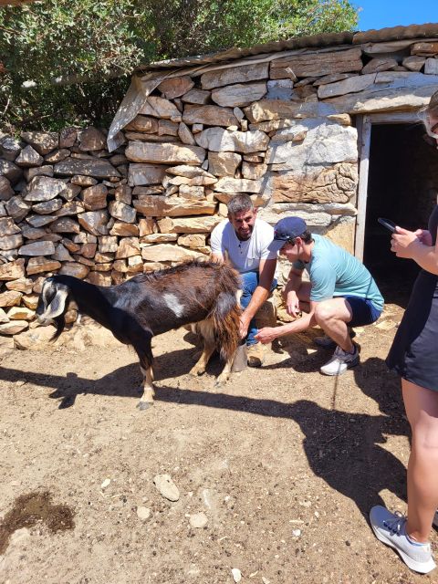 Naxos: Private E-Bike Tour With Lunch Ode-Yssey Uncharted - Tour Description