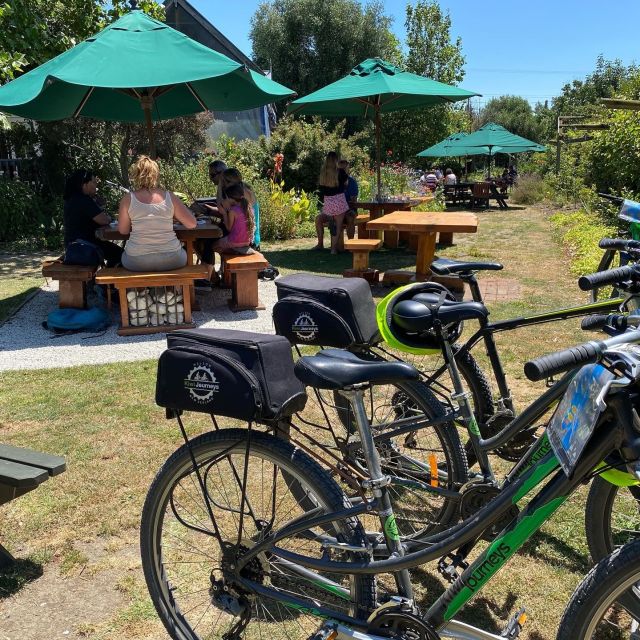 Nelson: Self-Guided Tunnel to Town Cycling Tour via Mapua - Experience Highlights