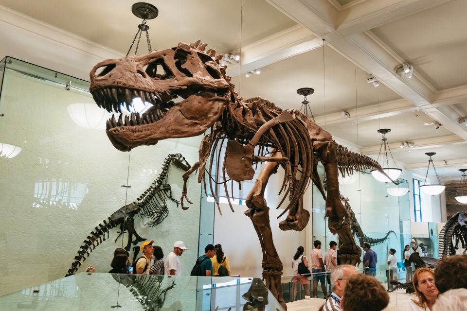 New York City: American Museum of Natural History Ticket - Review Summary