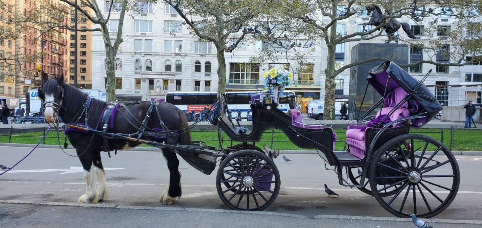 New York City: Private Horse Carriage Tour - Full Description