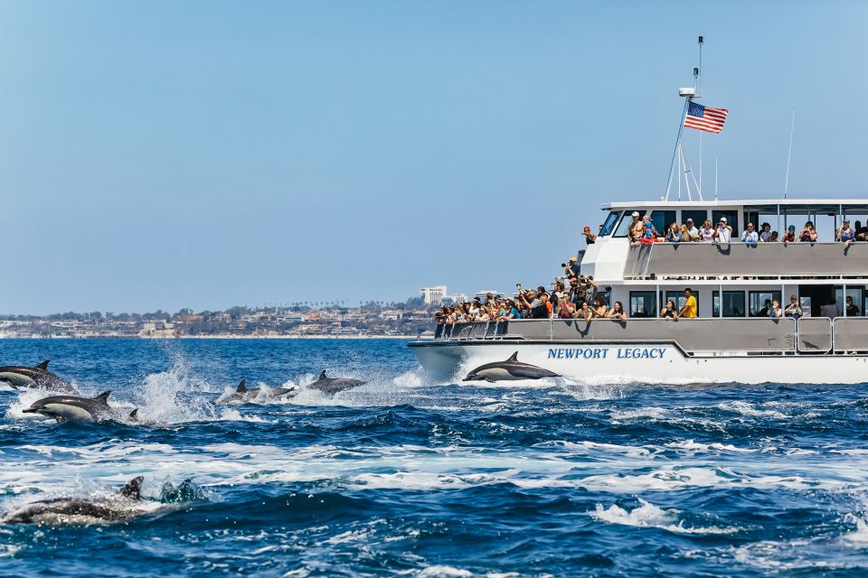 Newport Beach: 2-Hour Whale Watching Tour - Inclusions
