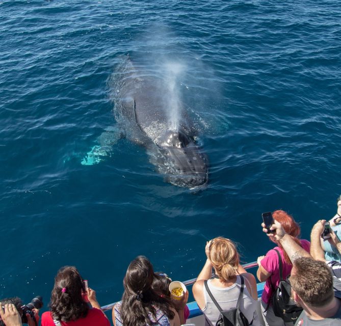 Newport Beach: Year-Round Whale Watching Cruise - Inclusions