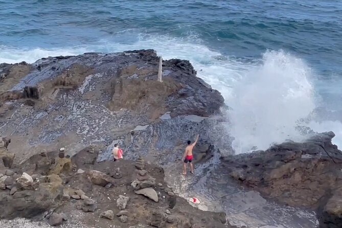 Next Level Oahu Circle Island Tour Full Day Waimea Fall Byodo - Tour Guides