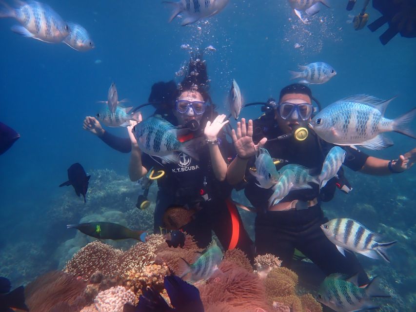 Nha Trang: Scuba Diving Experience for Non-Certified Divers - Diving Description