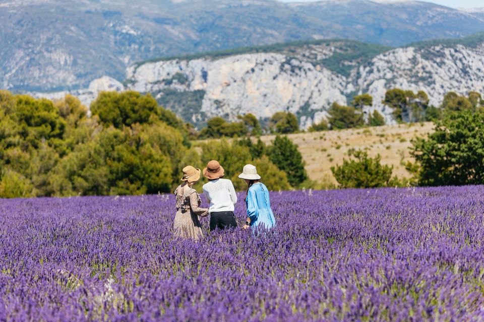 Nice: Gorges of Verdon and Fields of Lavender Tour - Flexible Cancellation Policy