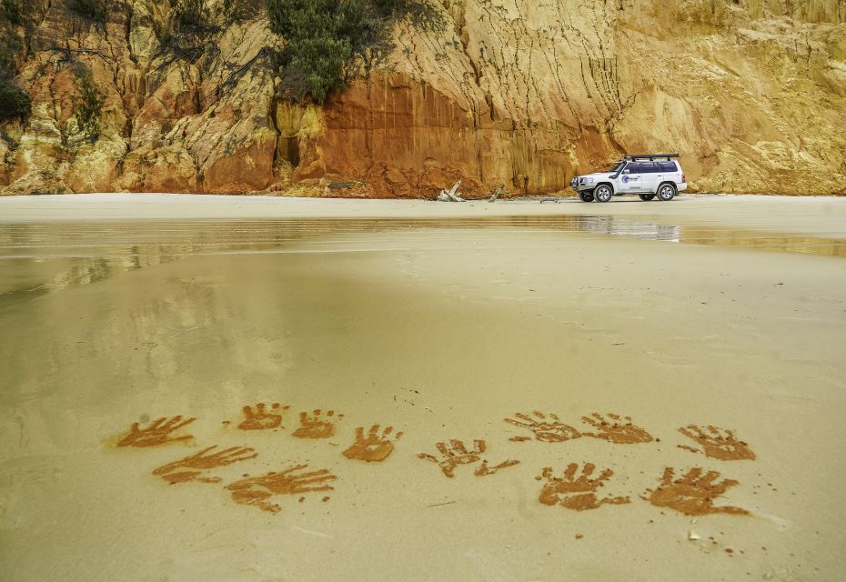 Noosa to Rainbow Beach: 4-Wheel Drive Tour in Great Sandy NP - Wildlife Sightings