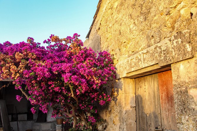 Noto Organic Farm Tour and Lunch or Dinner  - Sicily - Traveling With Infants or Children