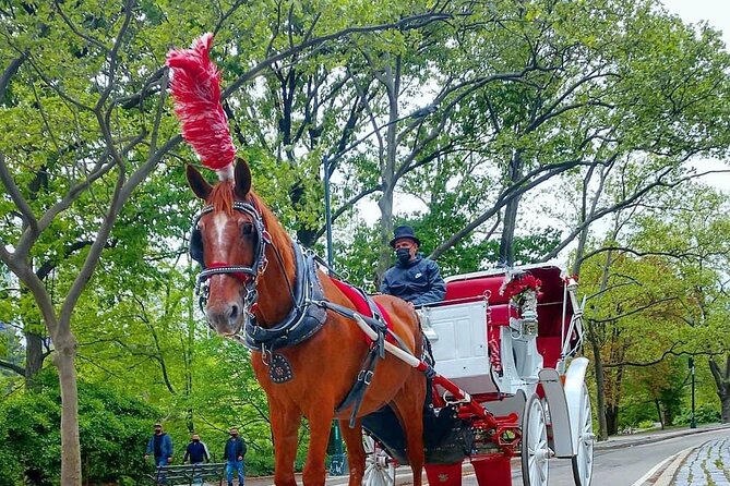 NYC Central Park Horse and Carriage Ride: Long Ride 45 Min - Meeting Point and End Point