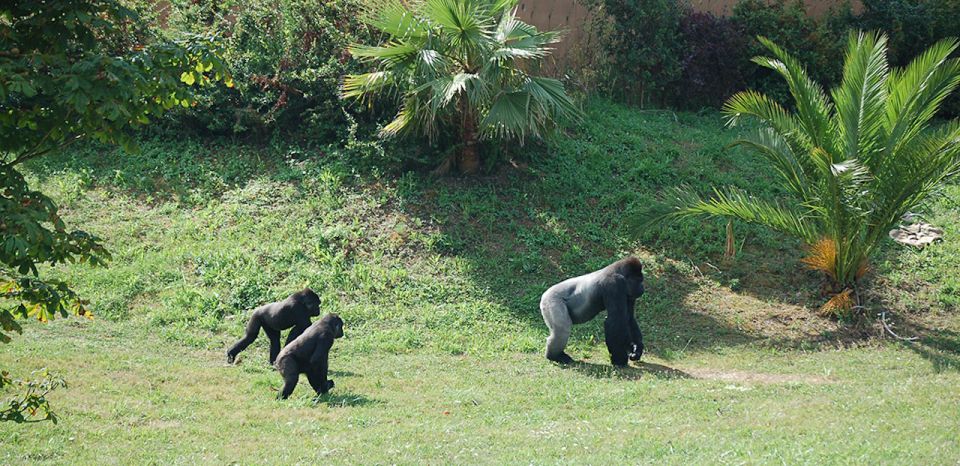 Obregón: Cabárceno Nature Park Entry Ticket - Experience Highlights