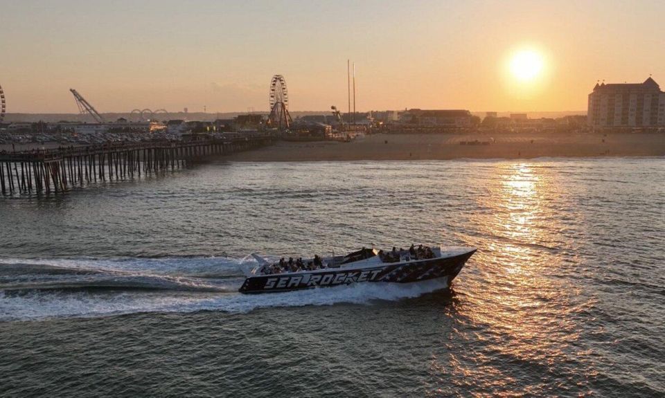 Ocean City: High-Speed Sunrise Cruise and Dolphin Watching - Activity Highlights